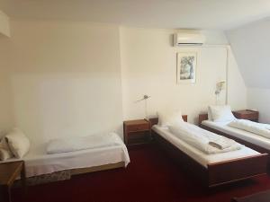 Postel nebo postele na pokoji v ubytování Hotel Amadeus
