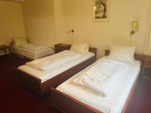 Postel nebo postele na pokoji v ubytování Hotel Amadeus