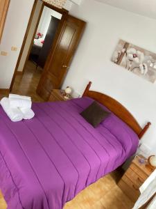 a large purple bed in a room with a mirror at Casa Sindo in Teixeira