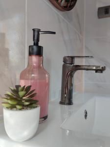 a bathroom sink with a soap bottle and a plant at Cabaña aeropuerto 4 personas in Puerto Montt