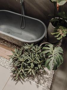 a bathroom with plants and a bath tub at abode II Zanzibar in Paje