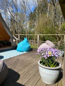 a deck with a pot of flowers and a tent at Swallows Oast Glamping in Sedlescombe