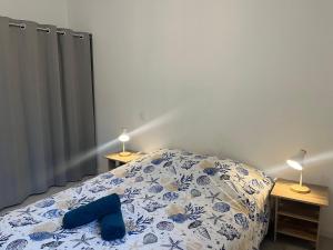 Posteľ alebo postele v izbe v ubytovaní Lourdes : Superbe T2 42m2