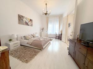 Televízia a/alebo spoločenská miestnosť v ubytovaní Elegant 125m2 apartment in center of Budapest