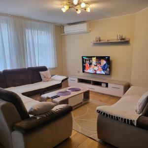 Μια τηλεόραση ή/και κέντρο ψυχαγωγίας στο APARTMAN CENTAR BULEVAR EX sa GARAZOM
