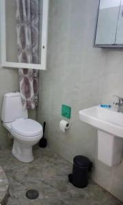 ein Badezimmer mit Toilette und Waschbecken in der Unterkunft Fenia in Nafplio