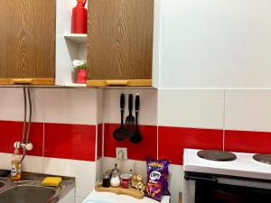 Kuchyň nebo kuchyňský kout v ubytování City Center Cozy Studio + 2 fotografie