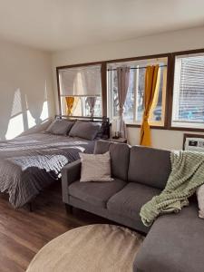 a living room with a couch and a bed and windows at Liberty Valley Studio - 1001-29 in Madison