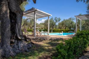 a tree in front of a swimming pool at Villa con Piscina Alghero in Alghero