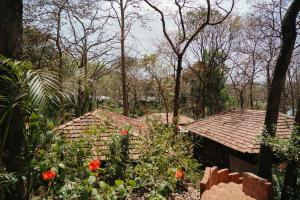 a garden with red flowers and a house at Mojigao - Eco Resort in Assagao