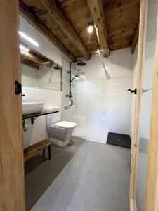 a bathroom with a toilet and a sink at Cal Not la masia in Escardacs +38 photos
