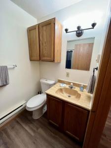 Ένα μπάνιο στο Tomah Apartment C - Veterans Street