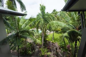 克瓦拉海滩Kewarra Beach Paradise 1BR Resort Style Apt - Pool的从房间看到的棕榈树种植园