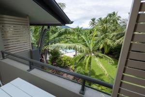 克瓦拉海滩Kewarra Beach Studio Apt with Resort Pool and BBQ的阳台享有椰子树的景致。