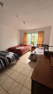 a bedroom with two beds and a window at Rocco house in Oxapampa