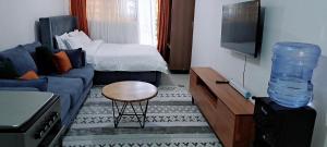 内罗毕Cozy Studio bnb in Kasarani Seasons, Nairobi的客厅里有一张蓝色沙发和一台电视