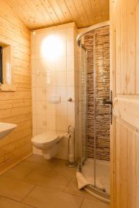 ein Badezimmer mit Toilette und Glasdusche in der Unterkunft Pension Bernhardt in Schwarzenberg/Erzgebirge