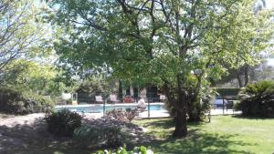 una piscina en un patio con un árbol en La Résidence du Moulin, en Tourrettes-sur-Loup