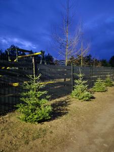 Vonkajšia záhrada v ubytovaní Domek Adam - Kozy
