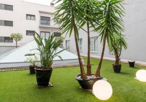 A garden outside Ilunion Bel-Art
