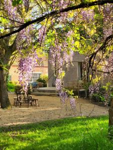 Κήπος έξω από το The Secret Garden