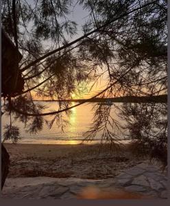 Gallery image of Little Villa - walk to the beach in Thessaloniki