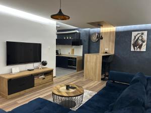 a living room with a blue couch and a tv at Zola in Slavonski Brod