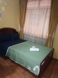 een slaapkamer met een bed met een groene sprei en een raam bij Hotel Don Jhon in Estación El Salto