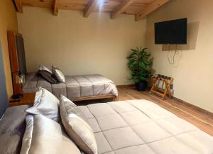 TV a/nebo společenská místnost v ubytování Cabaña EC