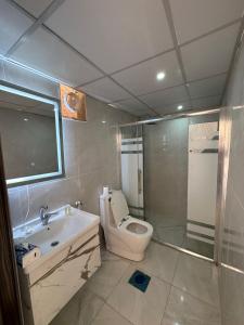 un bagno con wc, lavandino e doccia di RUM CAMILLA lUXURY CAMP a Wadi Rum