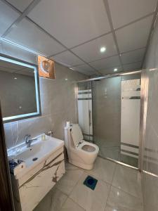 un bagno con wc, lavandino e doccia di RUM CAMILLA lUXURY CAMP a Wadi Rum