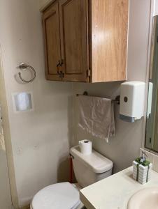 a bathroom with a toilet and a sink and a cabinet at 1233 Apartment 4 Miami in Tamiami +17 photos