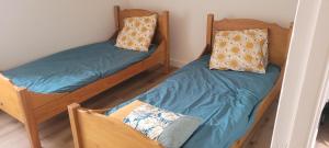 two bunk beds in a room with at L'Agapanthe, Gîte au coeur de la Baie de Saint Brieuc in Hillion