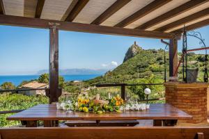 Táj Show holiday homes közelében