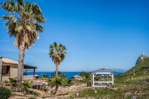Táj Show holiday homes közelében