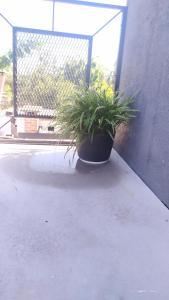 Fotografie z fotogalerie ubytování Apartamento El Arrayán v destinaci Tacuarembó