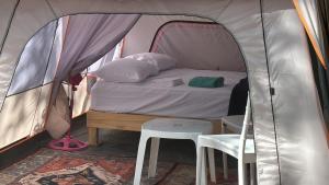 Postel nebo postele na pokoji v ubytování BACALAR INN Hotel