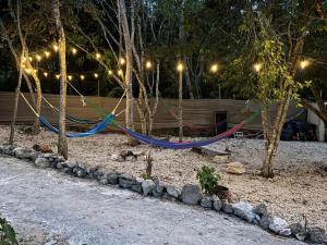 Zahrada ubytování BACALAR INN Hotel
