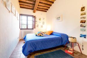 a bedroom with a blue bed and a window at Back Home in Pienza