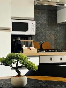 Η κουζίνα ή μικρή κουζίνα στο Rome & Giulietta apartment