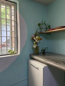 Kuchyň nebo kuchyňský kout v ubytování El Pinche Hostal