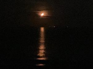Gallery image of 錦海亭 in Futtsu