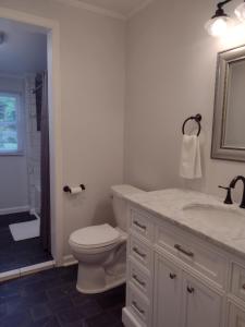 ein Badezimmer mit Toilette, Waschbecken und Spiegel in der Unterkunft Charming, Cozy Cottage Near Downtown New Bern in New Bern