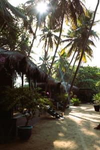 Aed väljaspool majutusasutust Turtle Hill Patnem