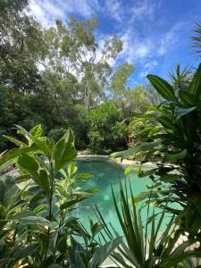 a swimming pool in a garden with trees at Windspray in Horseshoe Bay +18 photos