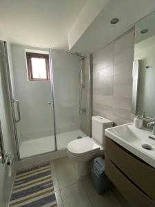 a bathroom with a shower and a toilet and a sink at Amplio,centrico y bello in Puerto Varas