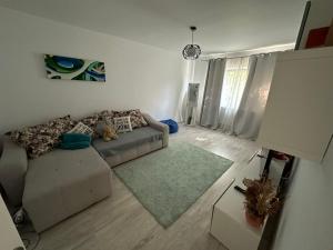ein Wohnzimmer mit einem Sofa und einem grünen Teppich in der Unterkunft CMD Apartament 2 camere in Buzău