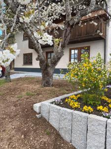 Zahrada ubytování Schwarzwaldnest Dachsberg