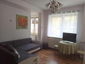 Uma TV ou centro de entretenimento em Dom nad Wisłą - pobyty rodzinne, grupowe, terapie