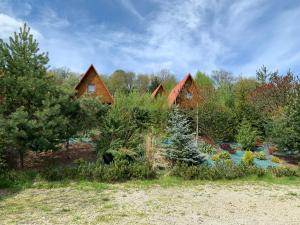 a group of cottages with a garden in the foreground at Domki nad Soliną CZARNY KOT 509-797-777 in Solina